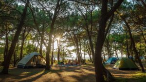 Lire la suite à propos de l’article Découvrez le camping municipal Landae à Ondres-Océan à travers les témoignages de ses campeurs
